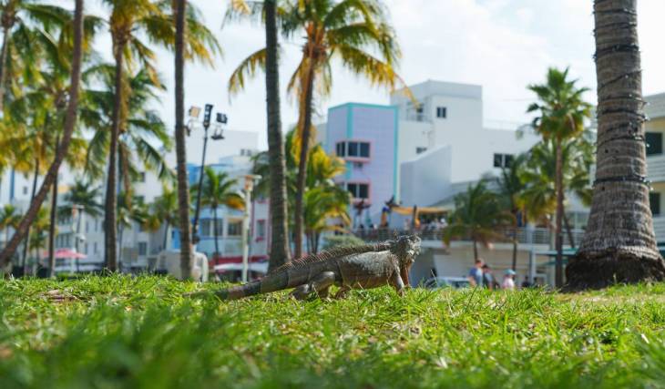 Miami vient de pulvériser un record de température vieux de 117 ans après avoir atteint 96 degrés