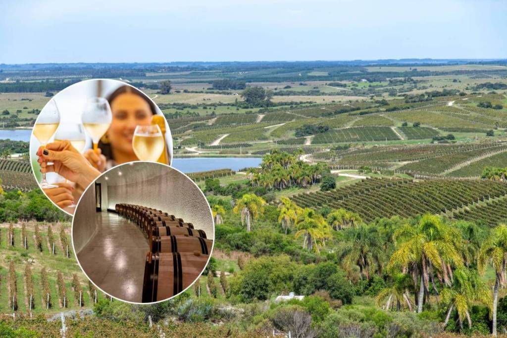 Dîner autour des vins de la Bodega Garzón