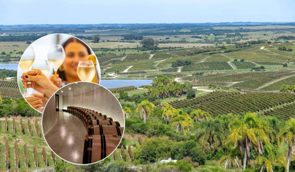 Uma das “50 Melhores Vinícolas do Mundo” vai comemorar uma década nesse restaurante idílico à beira-mar em Miami, por apenas uma noite