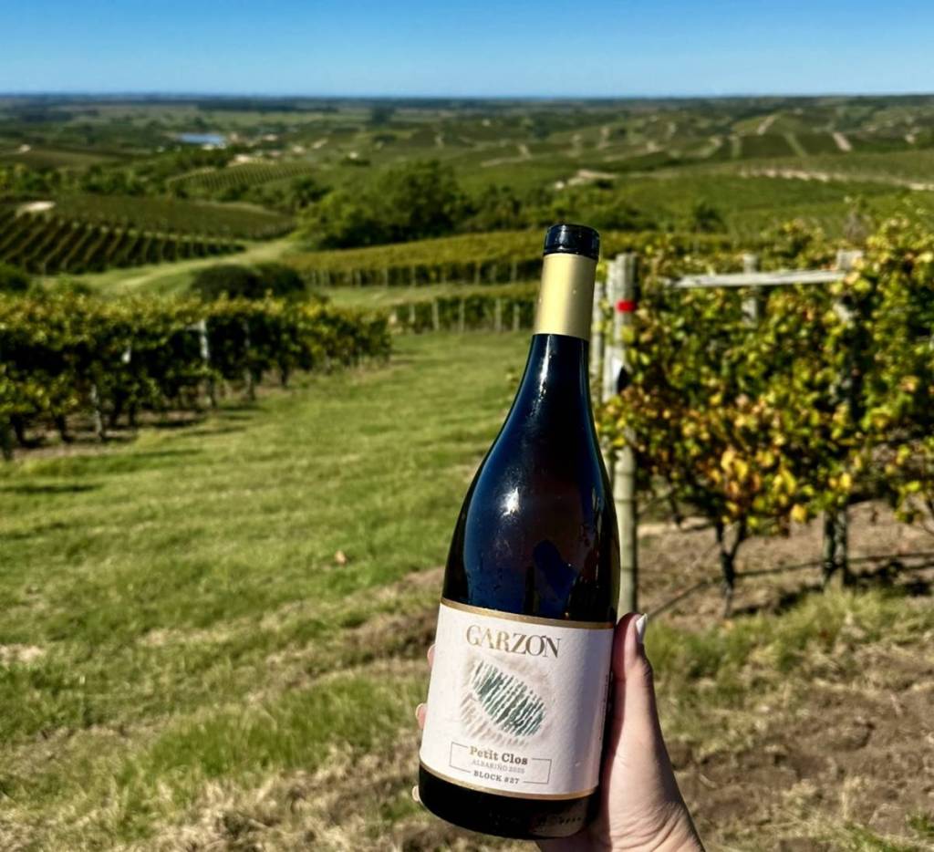 Les vins de Bodega Garzón