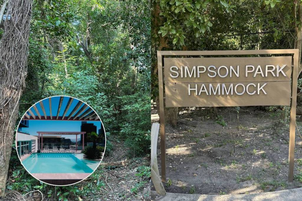 Tucked among the glass towers of Miami’s financial district, an 8-acre subtropical forest preserves an ‘older Miami’, 162 plant species and feels like stepping into ‘another era entirely’