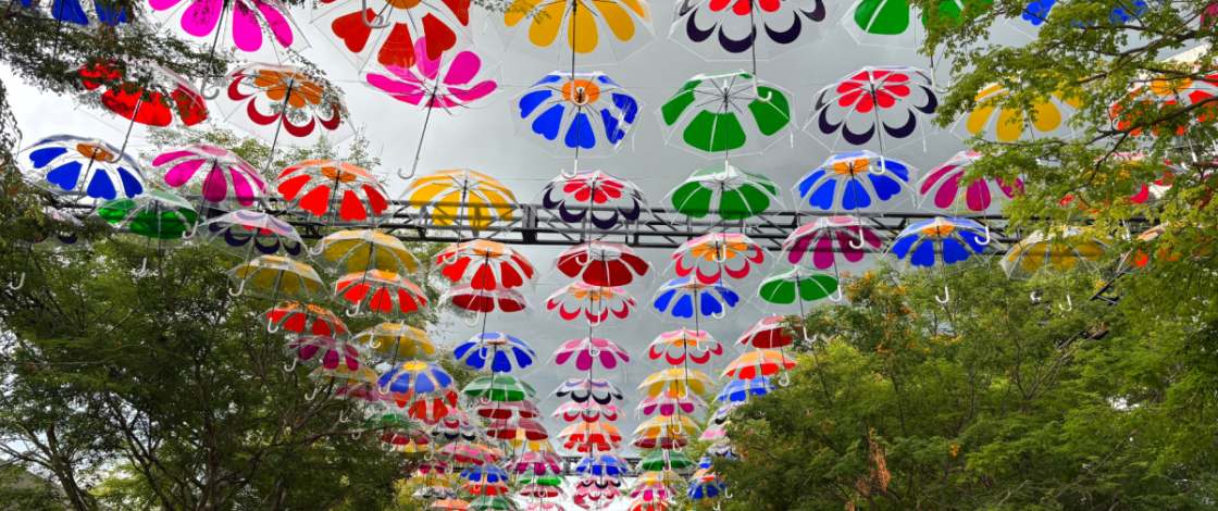 A magical rainbow of floating umbrellas is officially back to decorate Coral Gables this fall, now with floral patterns