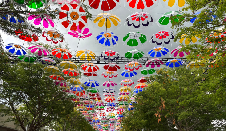 A magical rainbow of floating umbrellas is officially back to decorate Coral Gables this fall, now with floral patterns