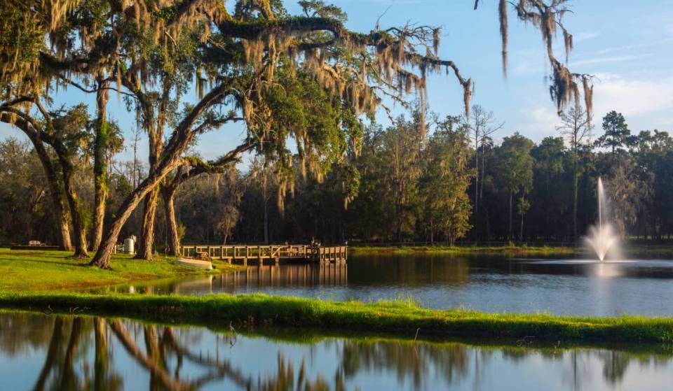 Esta tranquila ciudad de Florida acaba de ser nombrada el destino número uno más infravalorado para los «snowbirds» de EE. UU., con arquitectura victoriana, senderos pintorescos y robles cubiertos de musgo
