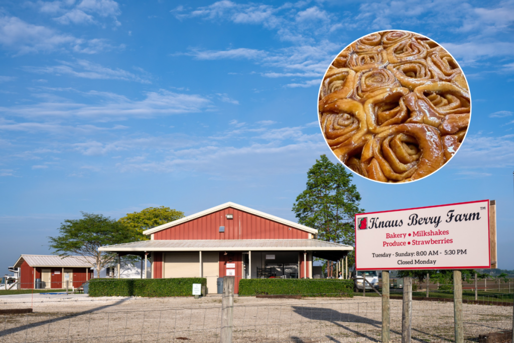 Knaus Berry Farm