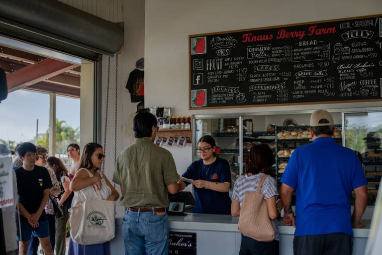 Knaus Berry Farm announces opening date for the 2026 season
