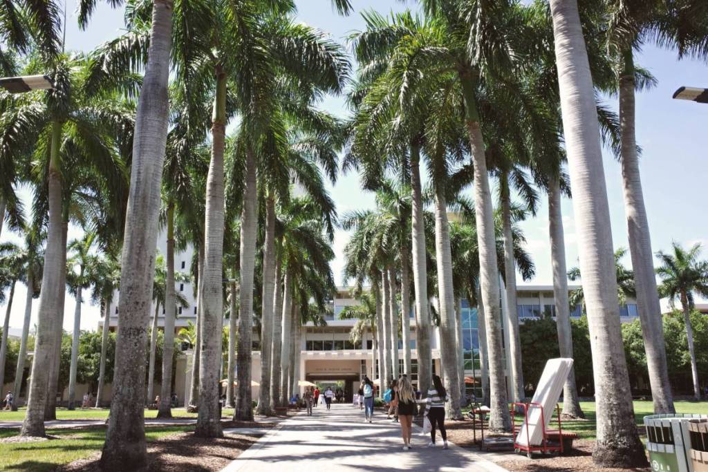 Allée bordée de palmiers sur le campus de l’université de Miami, à Coral Gables, en Floride.