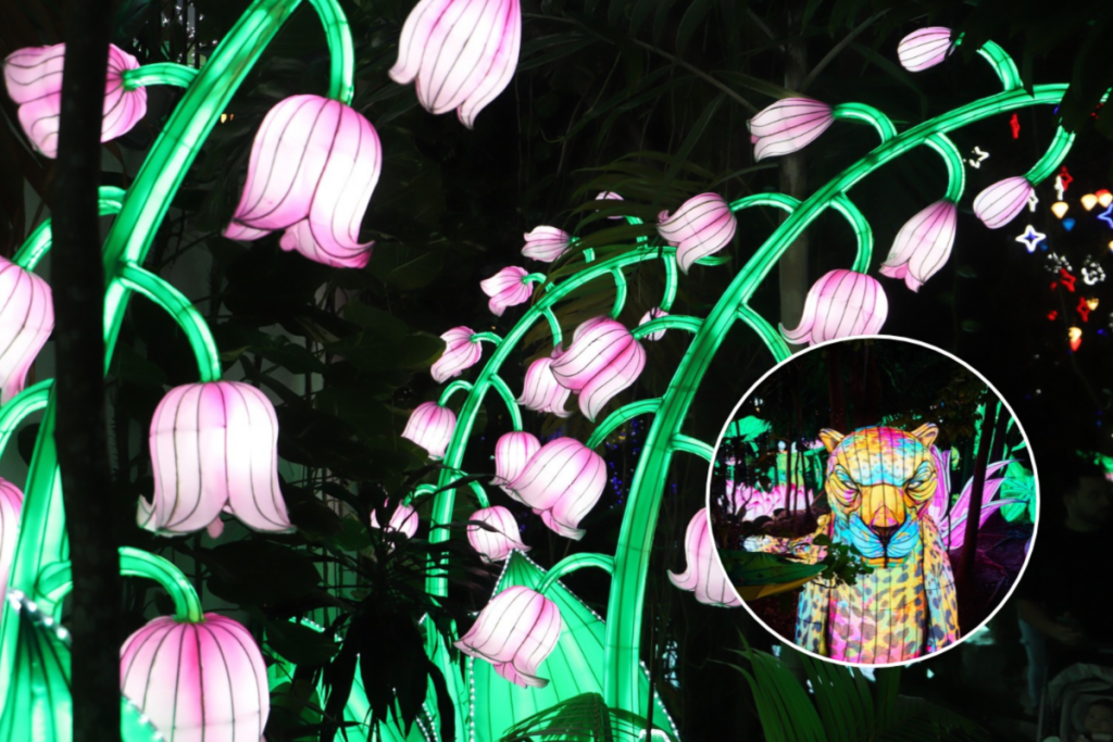 Luminosa Miami