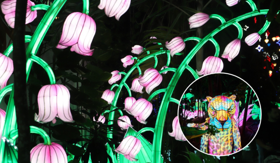 Aquí te explicamos cómo conseguir entradas para el Festival Luminosa de Miami: 1,35 millas de esculturas luminosas hechas a mano y mucho más en Jungle Island esta temporada