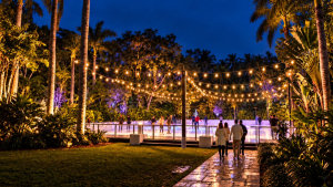 NightGarden ist zurück in Miami – zum ersten Mal mit einer brandneuen Eislaufbahn unter den Palmen – und die Warteliste ist jetzt geöffnet