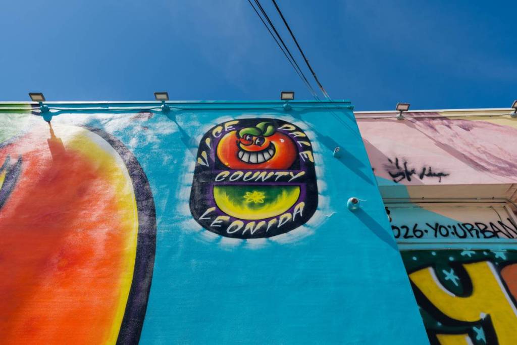 Obras de Wynwood Walls - ATOMIK