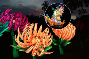 A solo un rato en coche de Miami, este oasis tropical de 14 acres se está transformando en un resplandeciente país de las maravillas nocturno, con actuaciones en directo y un dragón de 195 pies.
