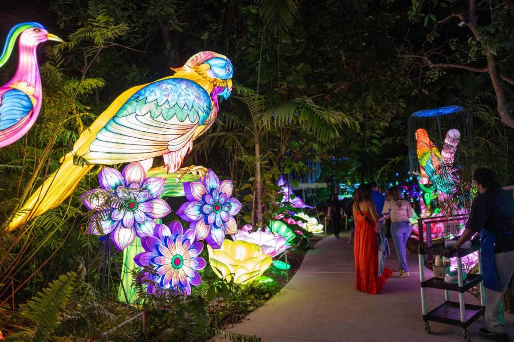 Luminosa Miami