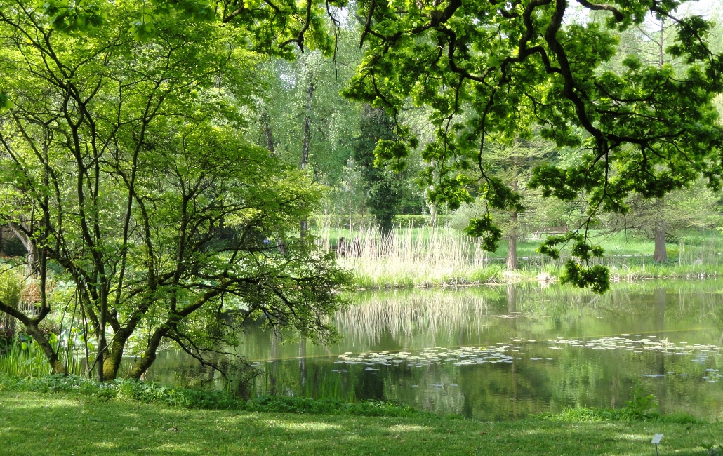 Der Botanische Garten wieder Secret München