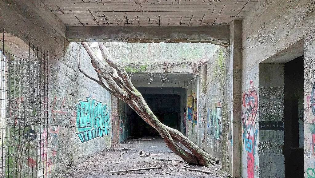 Tunnel und Überreste der alten Sprengstofffabrik in München