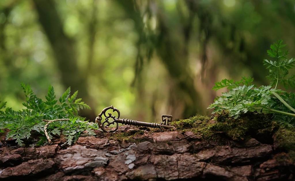 key in a forest