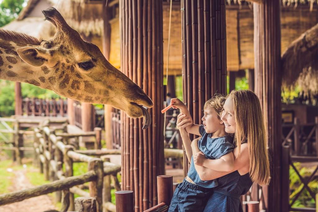 kids with a giraffe