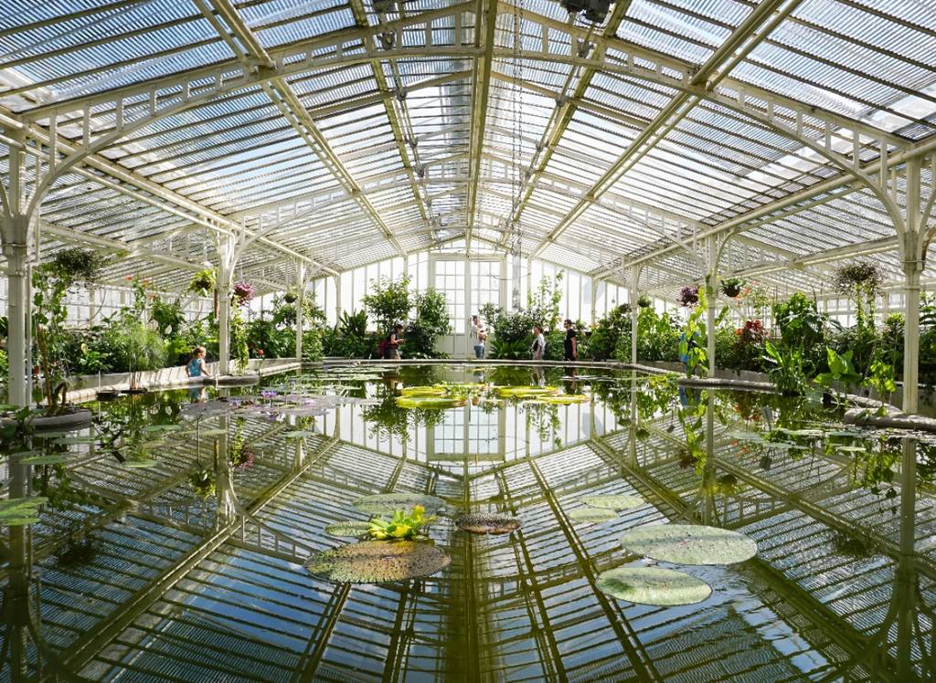 Botanischer Garten in München