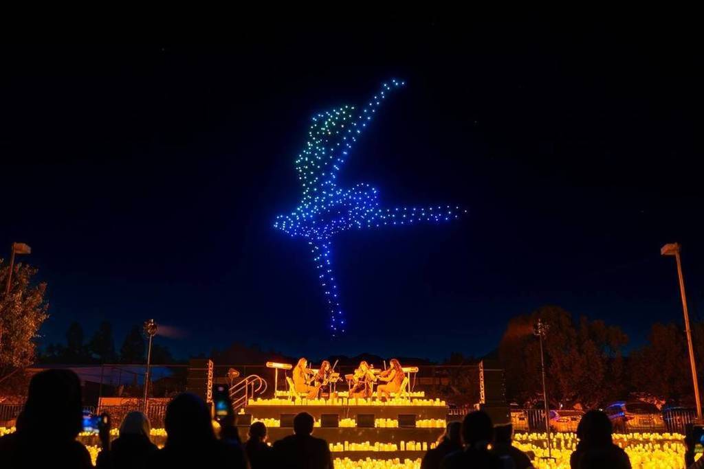 DroneArt Show