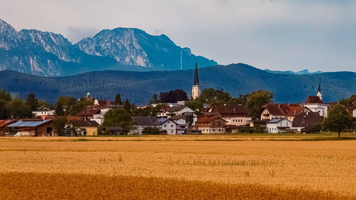 Freilassing