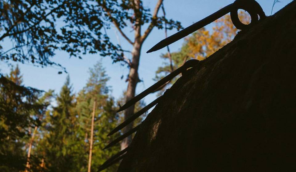 Just 45 minutes southwest of Munich, a 600-year-old lost place is hidden in the forest &#8211; full of spooky stories and ancient legends