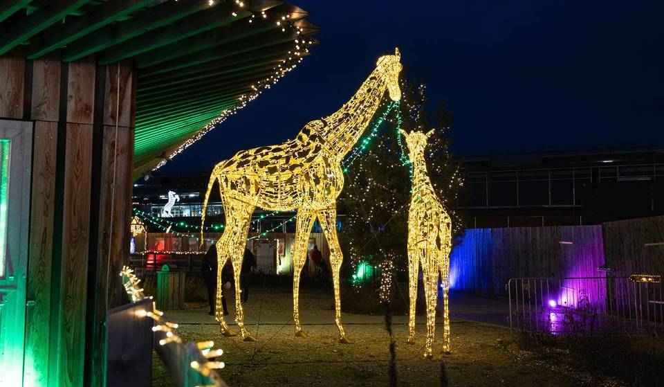 Die funkelnde Lichterwelt von LUMAGICA erleuchtet auch in diesem Winter den CAVALLUNA Park in München – diesmal mit dem Glanz von „Carnival of Lights“