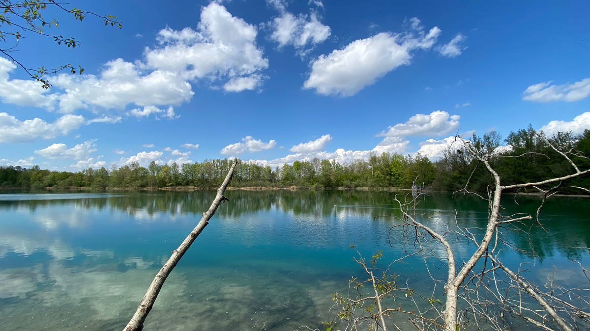 See der Allacher Lohe