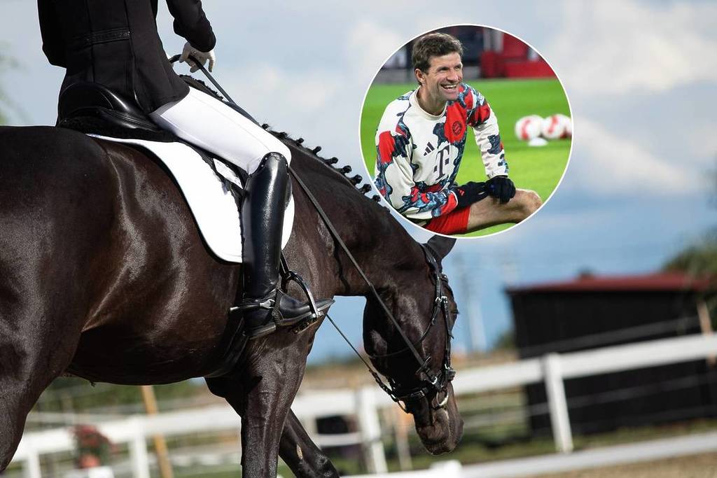 dressurpferd und thomas müller, besitzer gut wettlkam