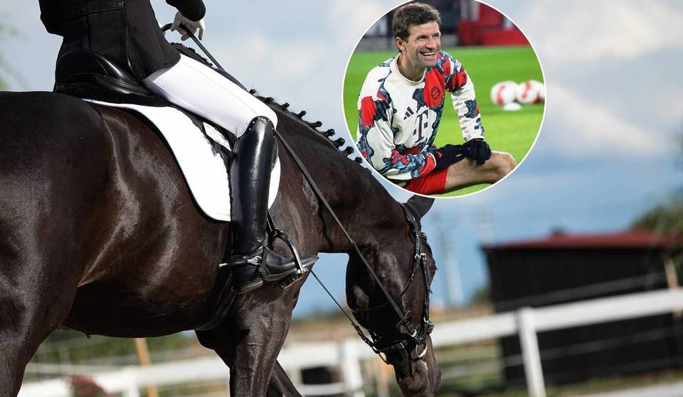 Die luxuriöse Pferdezucht von Thomas Müller bei München: Hier kostet ein Tier bis zu 10 Millionen Euro