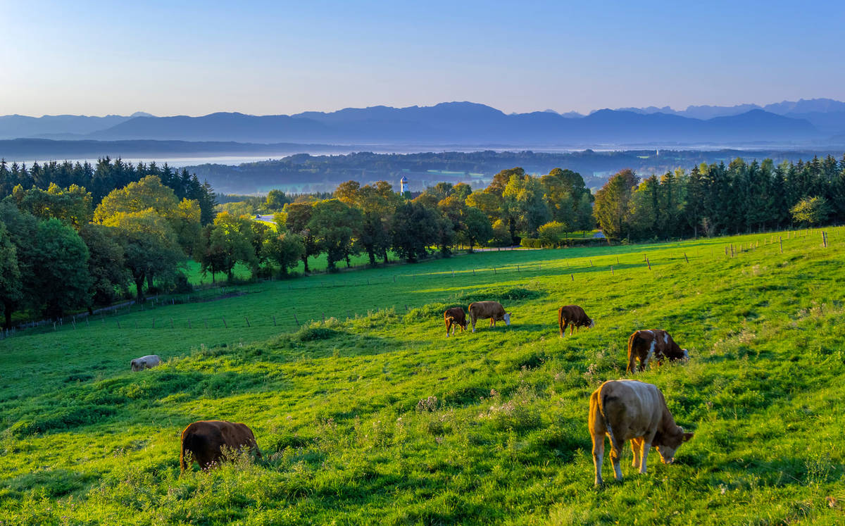 Ausblick am Starnberger See
