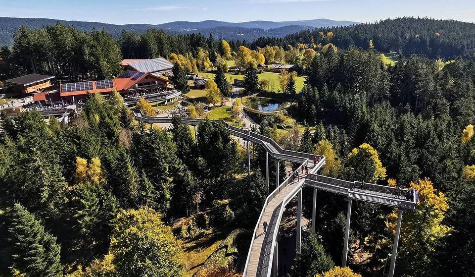 Christmas above the treetops: embark on an Advent adventure at a height of 30 meters 2 hours from Munich