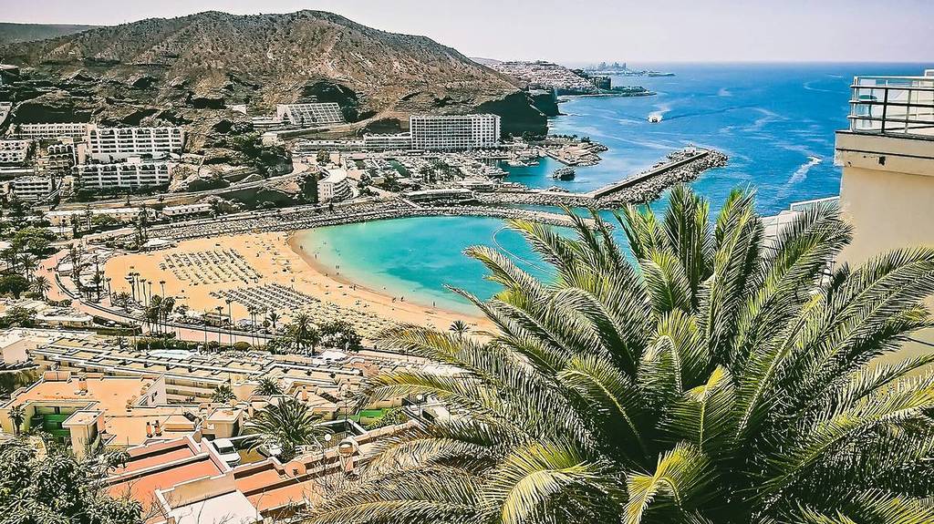 beach with hotels and palm trees on gran canaria