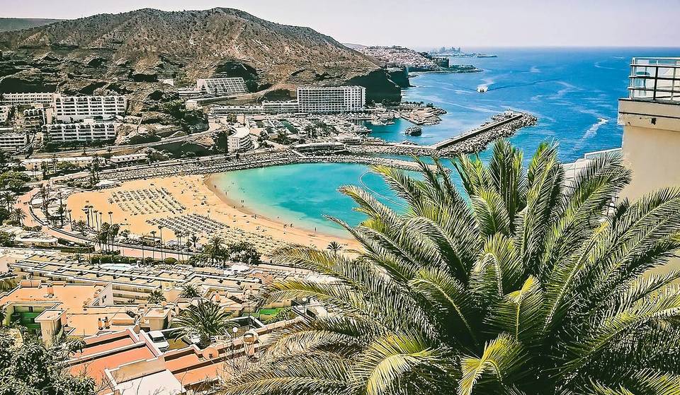 Über 20 Grad und ein rosa Blütenmeer: Warum diese europäische Insel das perfekte Ziel gegen den Winter-Blues ist
