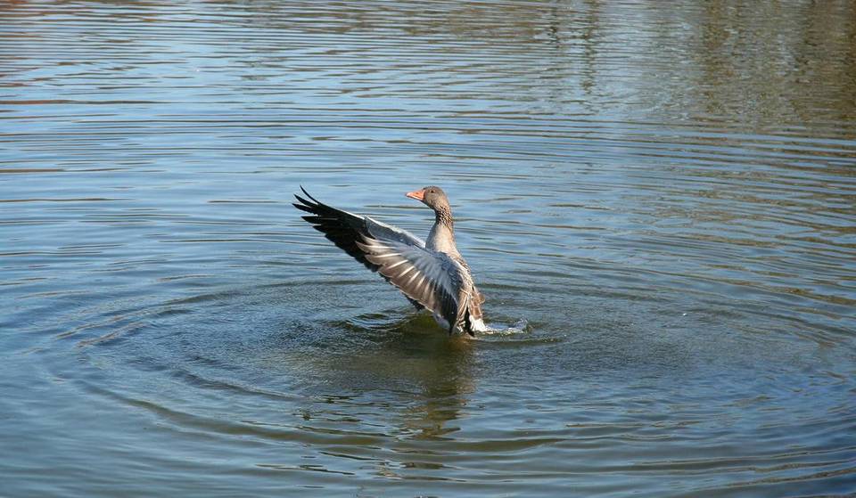 Gans gemütlich: Entdeckt die urigen Weihnachtsmärkte im Westpark und unter der Eisenbahnbrücke