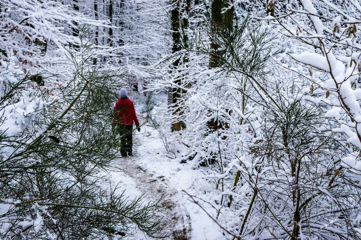 Winterwandern