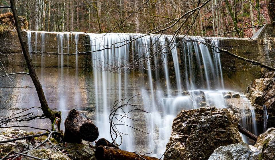 Bayerns „Dschungel-Feeling“ liegt nur 1 Stunde von München entfernt — mit jahrhundertealtem Moos, Farnen und einem magischen Wasserfall