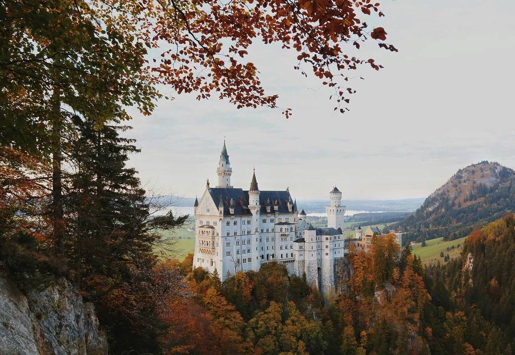 Blick zwischen Bäumen hervor auf Schloss Neuschwanstein