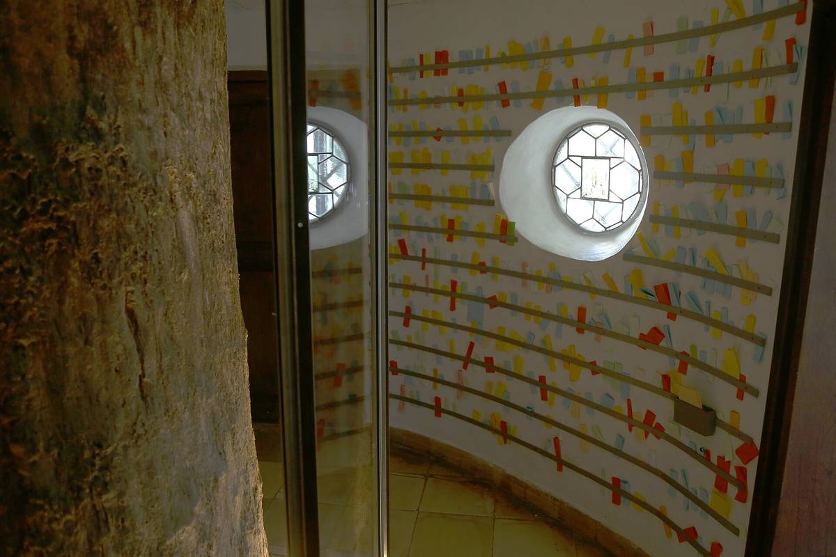 stamm der eiche in der maria eich