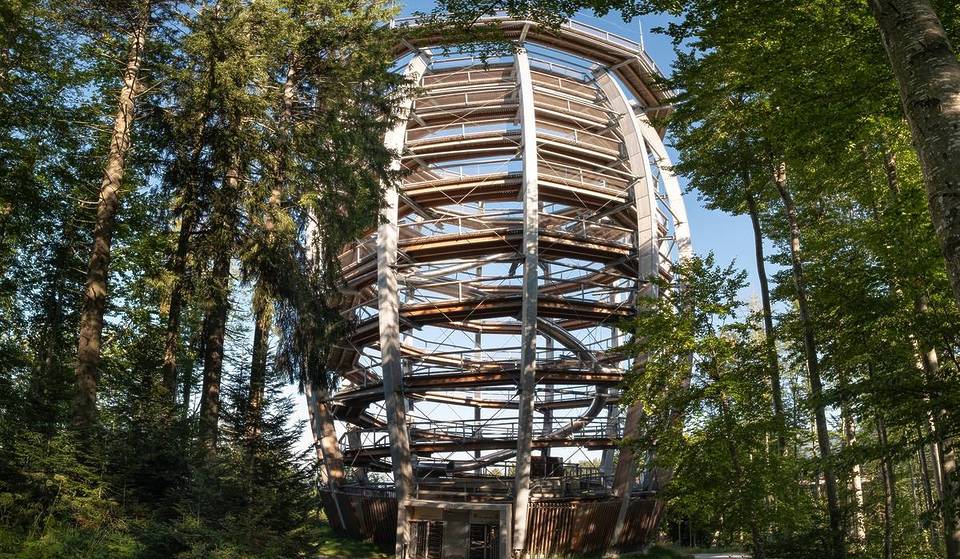 Just two hours from Munich, there is a 25-meter-high suspended path in the forest that is reminiscent of a scene from Avatar.