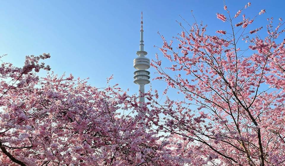 April in Munich: Longer days, blooming nature, and exciting events!
