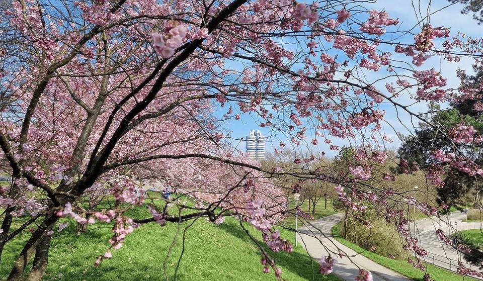 Erlebt Osterspaß für die ganze Familie beim Osterfest im Olympiapark