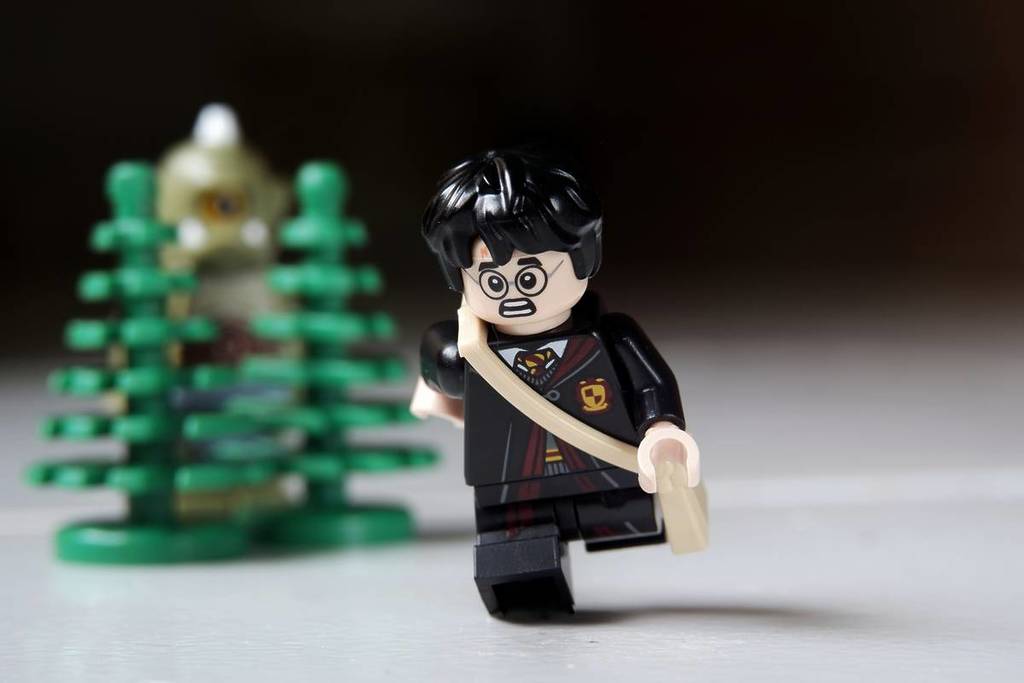Harry Potter and Legoland
