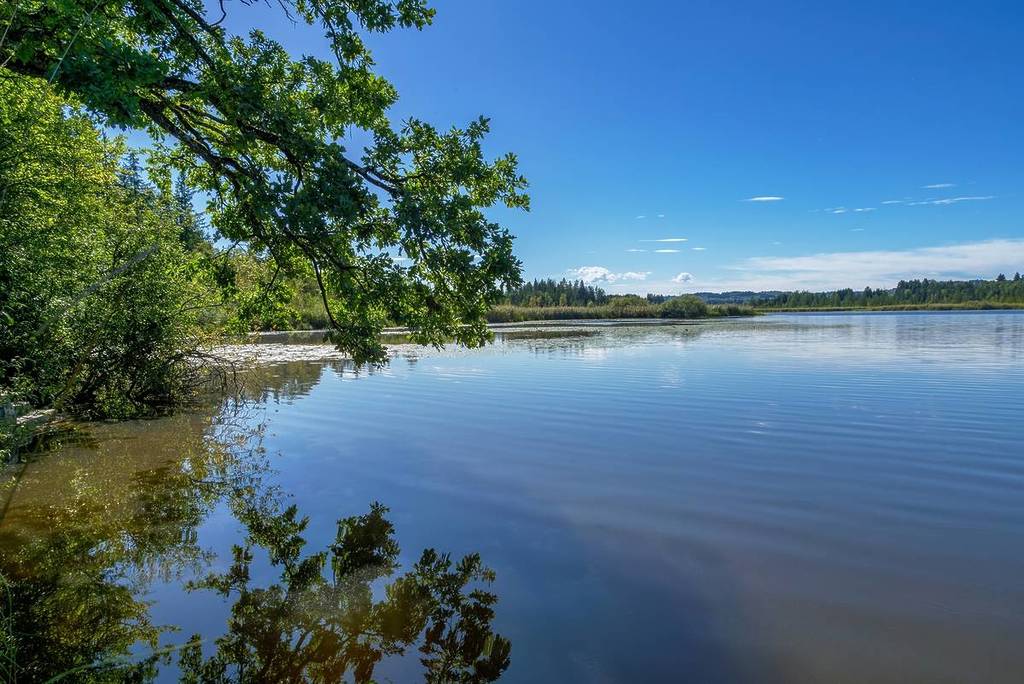 Maisinger Schlucht mit See