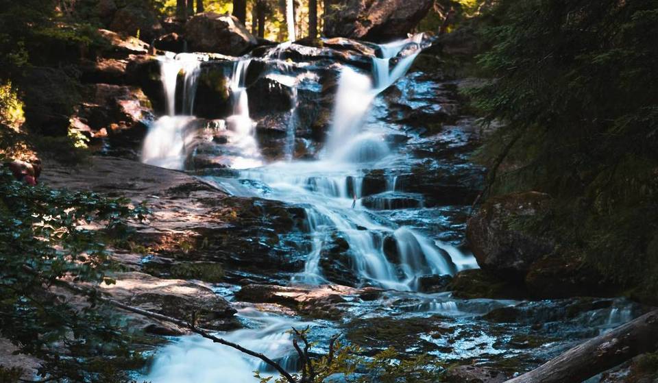 “Wie im Urwald”: Die höchsten Wasserfälle des Bayerischen Waldes stürzen 55 Meter tief durch eine wilde mystische Schlucht