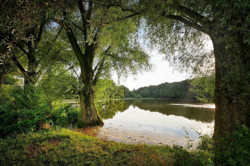 deininger weiher