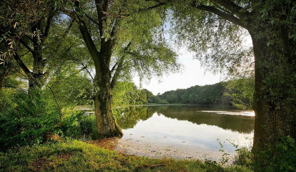 Vergesst Starnberg: Dieser versteckte Waldsee 20 Kilometer von München ist ein absoluter Geheimtipp, den selbst Einheimische nicht kennen