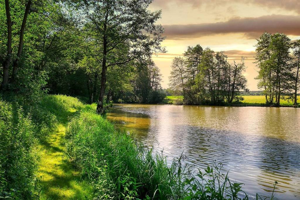 deininger weiher
