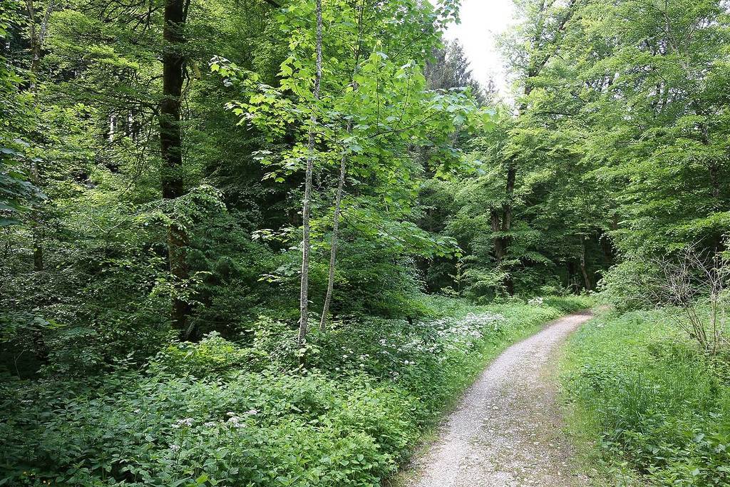 Gleißental near Munich