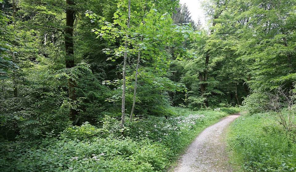 Nur 25 Minuten wandert ihr durch ein 8 Kilometer langes Trockental mit frei zugänglichem Steinbruch, an dessen Ende euch ein Moorsee erwartet