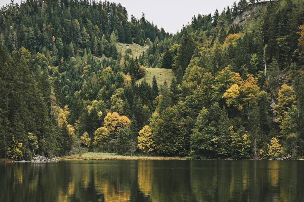 Taubensee in Chiemgau
